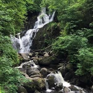 Meet your Posher, Trisha